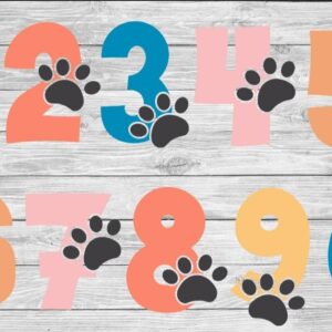 Container sticker kat